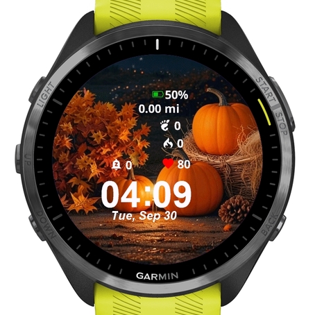 Pumpkins · Screenshot 0