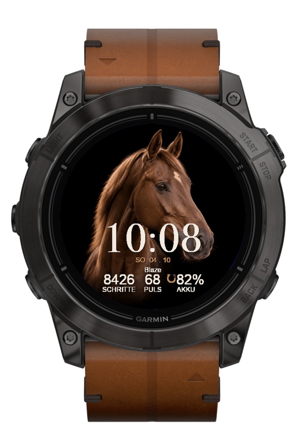 EQUESTRIAN - Your horse. Your time. · Screenshot 2