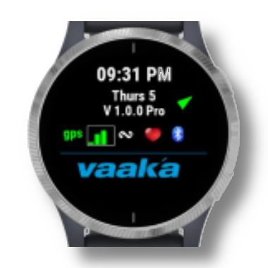 Vaaka Paddling for Garmin · Screenshot 0