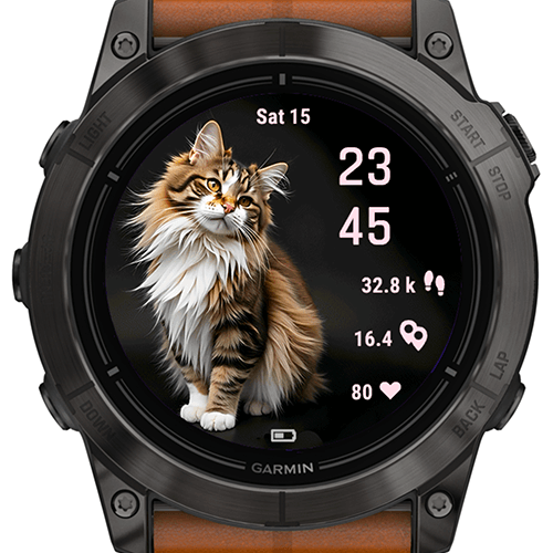Cat Selfie Charm G · Screenshot 1