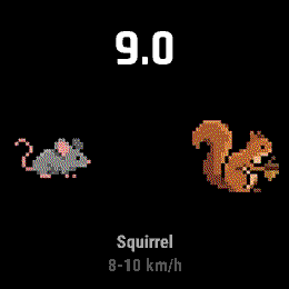 Wild Speed · Screenshot 1
