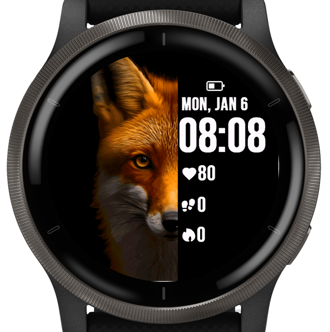 Orange Fox · Screenshot 0