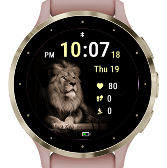 Shadow Lion · Screenshot 0