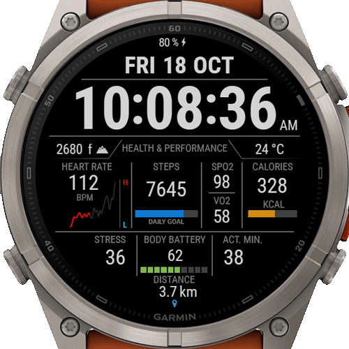 Digital Performance watch face for Forerunner 170