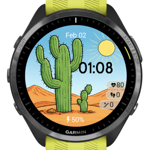 Desert Cactus 2