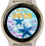 Ocean Star Garmin watch face