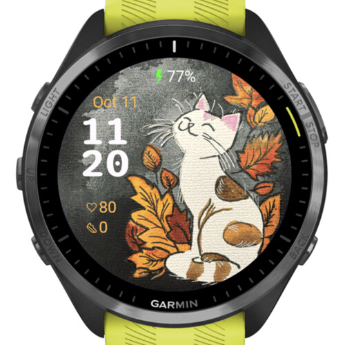 Autumn Cat Watercolor · Screenshot 1