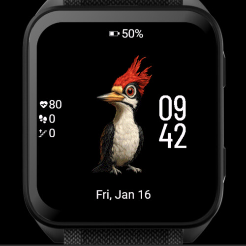Red Woodpecker 4