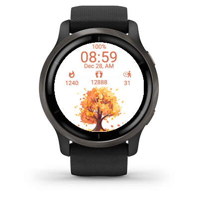 Fall T2 · Screenshot 1