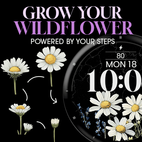 Wildflower Steps x · Screenshot 0