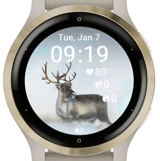 Arctic Deer · Screenshot 2