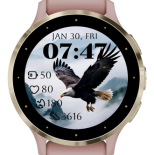 Soaring Eagle · Screenshot 1