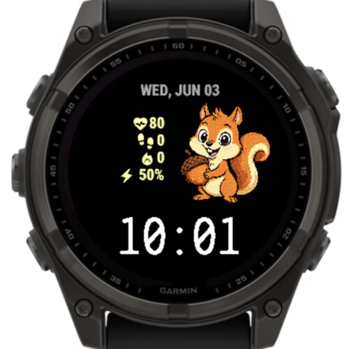 Squirrel · Screenshot 3