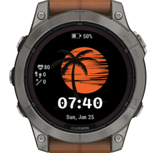 Sunset Palm 2