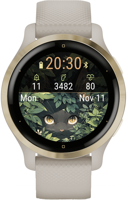 Catty · Screenshot 4