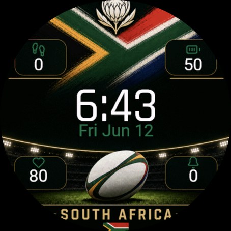 South Africa Rugby Match Day · Screenshot 0