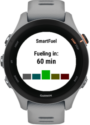 SmartFuel: Running screenshot 5