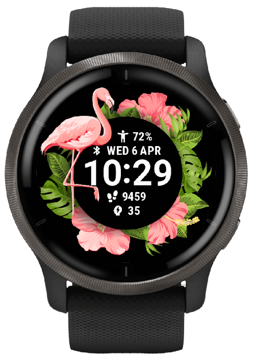 Flamingo · Screenshot 2