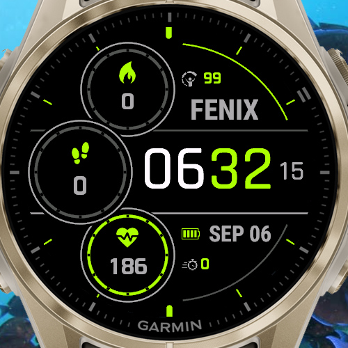 Fenix 8 Solar Like · Screenshot 0