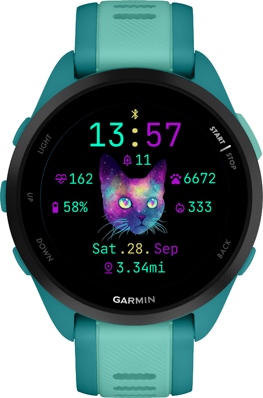 Galactic Cat · Screenshot 0