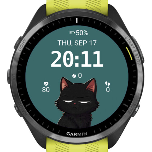 Black Cat Grumpy 2 · Screenshot 2