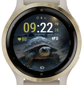 Night Tortoise · Screenshot 2