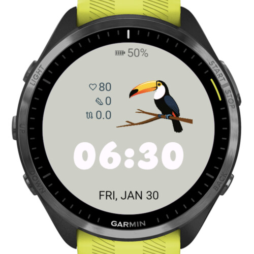 Toucan Minimal 2