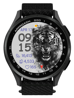Shadow Tiger 3