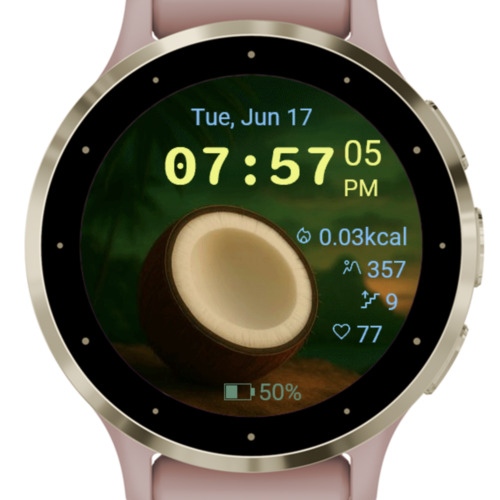 Coconut Data Lover · Screenshot 1