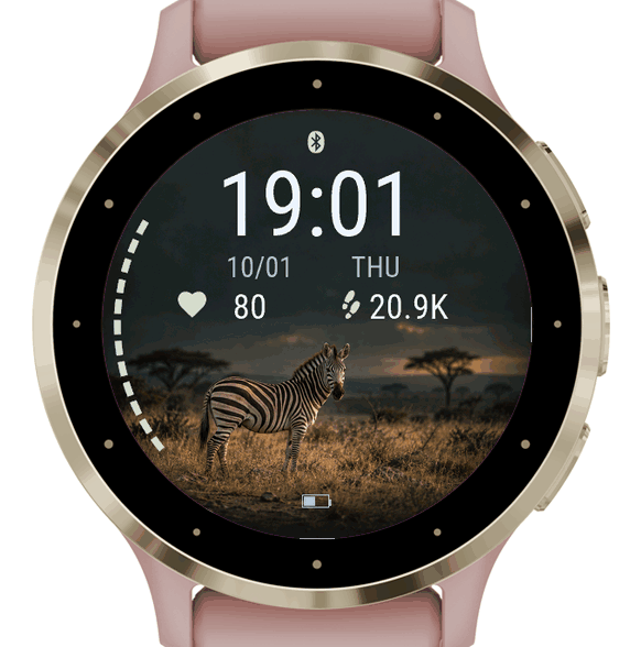plains zebra · Screenshot 0