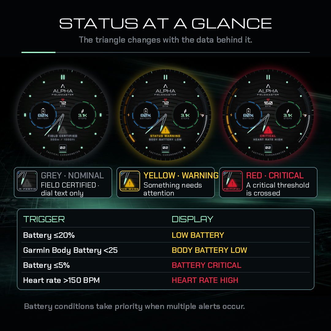 ALPHA FIELDMASTER - Spy Watch · Screenshot 0