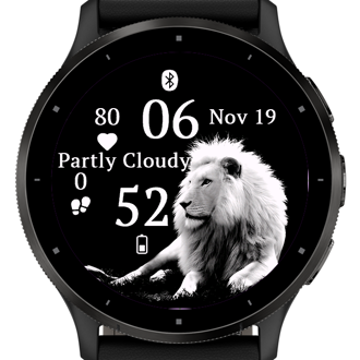 Male Lion · Screenshot 1