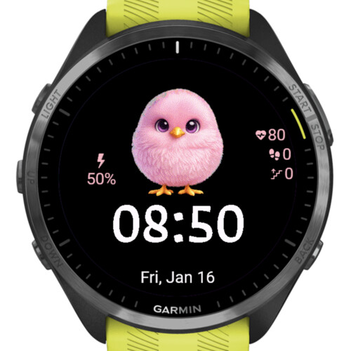 Cute Pink Chick 3