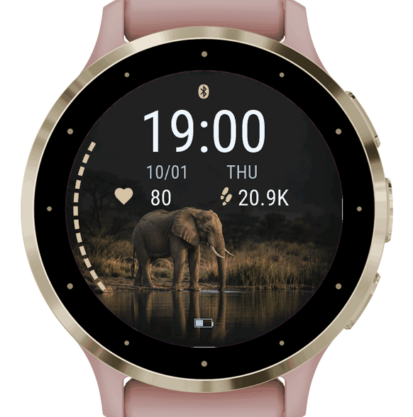 Waterhole Elephant · Screenshot 0