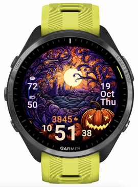 Magical Pumpkin · Στιγμιότυπο 0