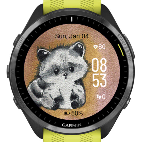 Watercolor Cute Raccoon · Screenshot 1