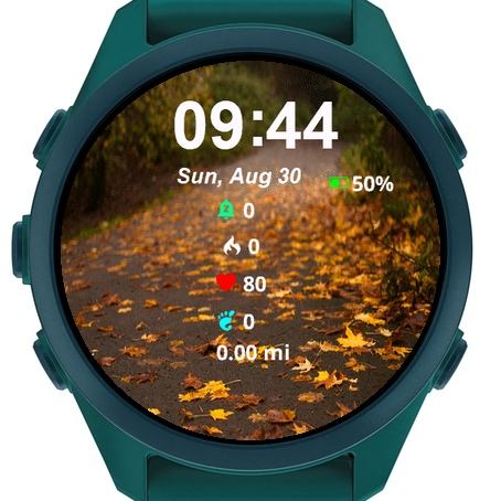 View Road Covered Yellow Leaves · Screenshot 1