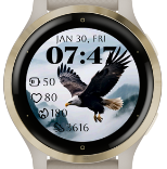 Soaring Eagle · Screenshot 0
