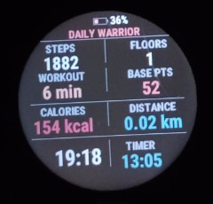 Daily Warrior Data Field · Screenshot 2