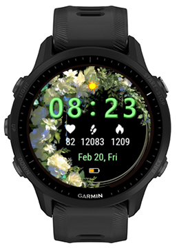 Green Garland · Screenshot 2