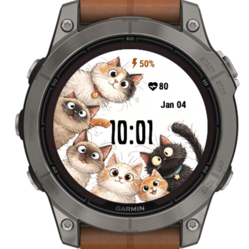 Cats · Screenshot 0