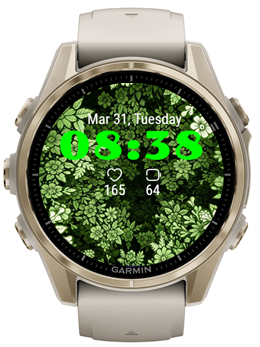 Green Vision · Screenshot 0