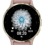 Ice Bloom · Screenshot 0