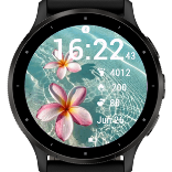 Aqua Plumeria · Screenshot 1