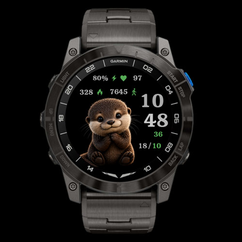 Otter Time 2