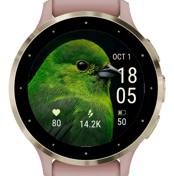 green bird · Screenshot 0