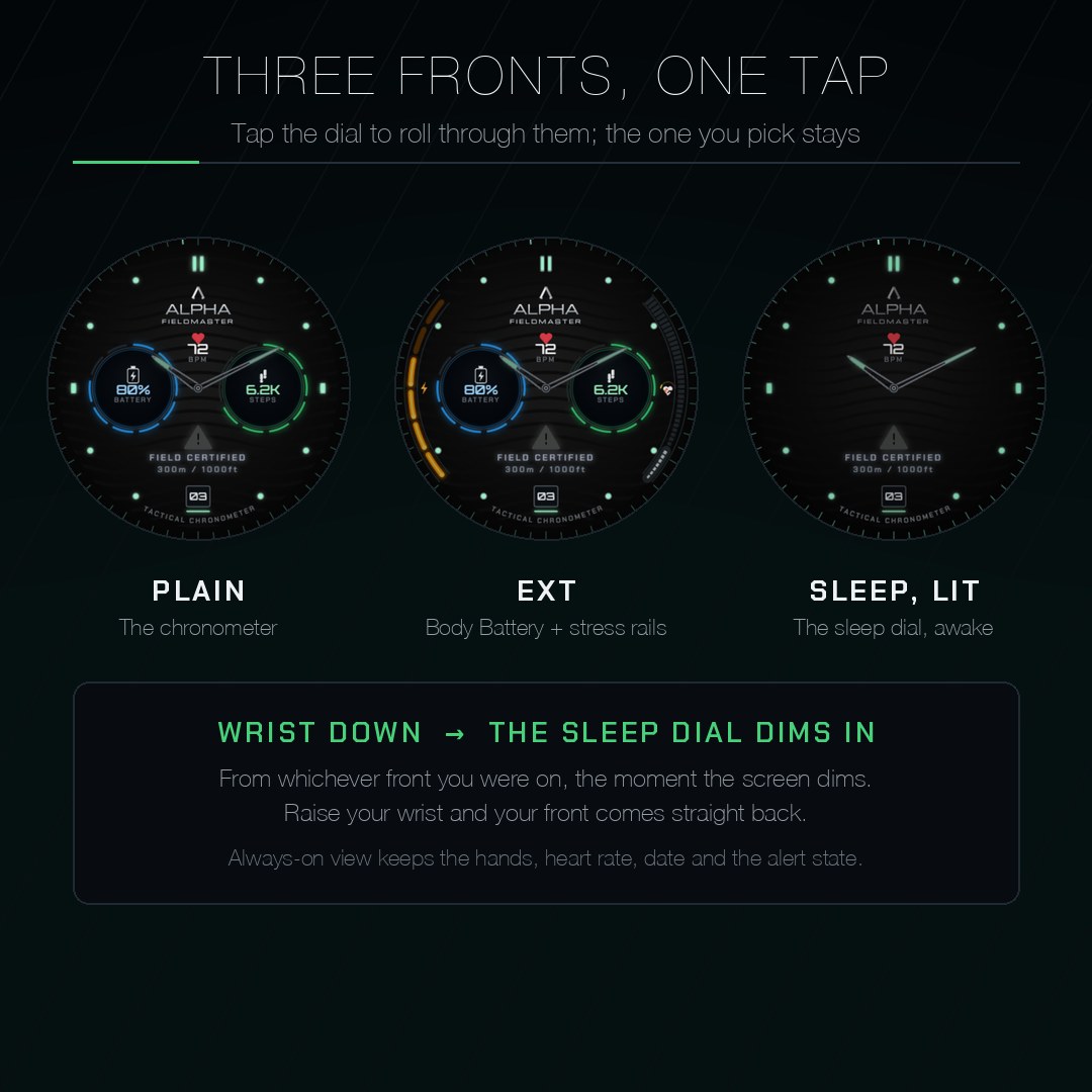 ALPHA FIELDMASTER - Spy Watch · Screenshot 4