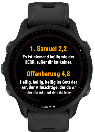 Die Losungen · Screenshot 0