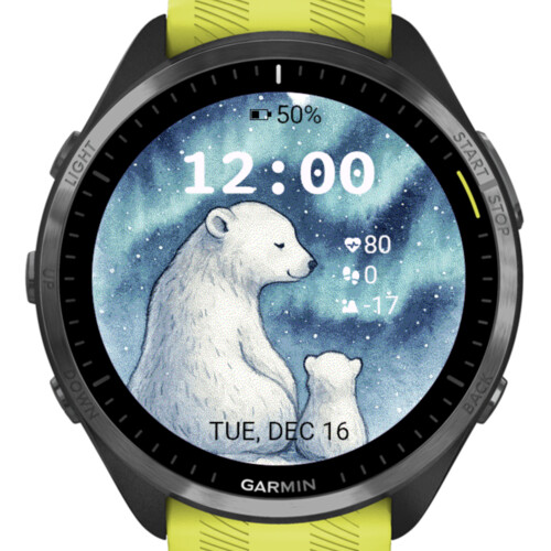 Polar bear · Screenshot 2