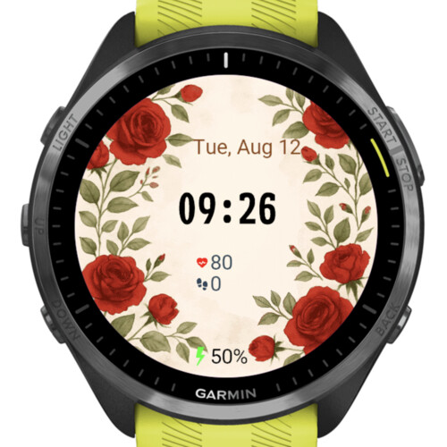 Roses · Screenshot 0